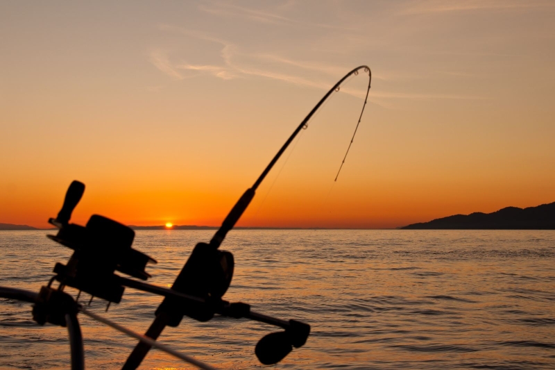 Big Game Fishing